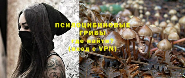 гашик Абинск