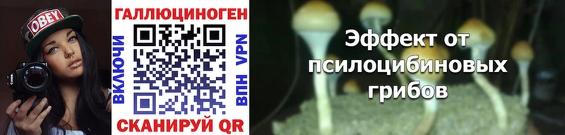 Галлюциногенные грибы ЛСД  сколько стоит  Эртиль 